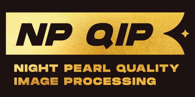 NP QIP